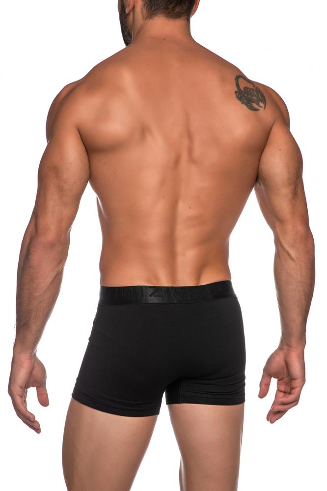BAMBOO BOXER ΜΕ ΕΞΩΤΕΡΙΚΟ ΜΟΝΟΧΡΩΜΟ ΜΕΤΑΛΛΙΖΕ ΛΑΣΤΙΧΟ ΚΑΙ LOGO ΙΝΙΖΙΟ